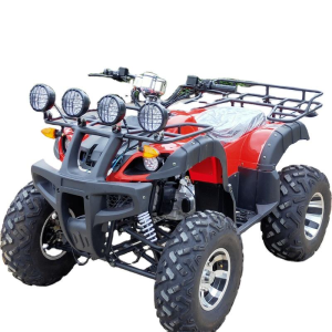 Big Bull Electric ATV 2200 Watt - E-Scooter Depot Nassau Bahamas