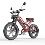 S9 (5) electric vehicle Nassau Bahamas - E-Scooter Depot electric vehicles