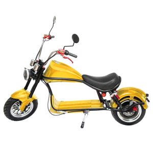 Deluxe Electric Hurley Cruiser 3000 watt