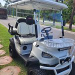 Buy 20240704_155728 – Copy electric vehicle Nassau Bahamas - E-Scooter Depot
